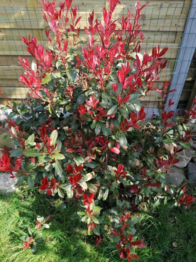 Logies Lily Oudenburg Exterior foto