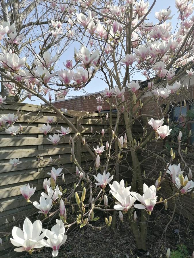 Logies Lily Oudenburg Exterior foto