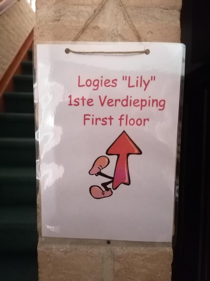 Logies Lily Oudenburg Exterior foto