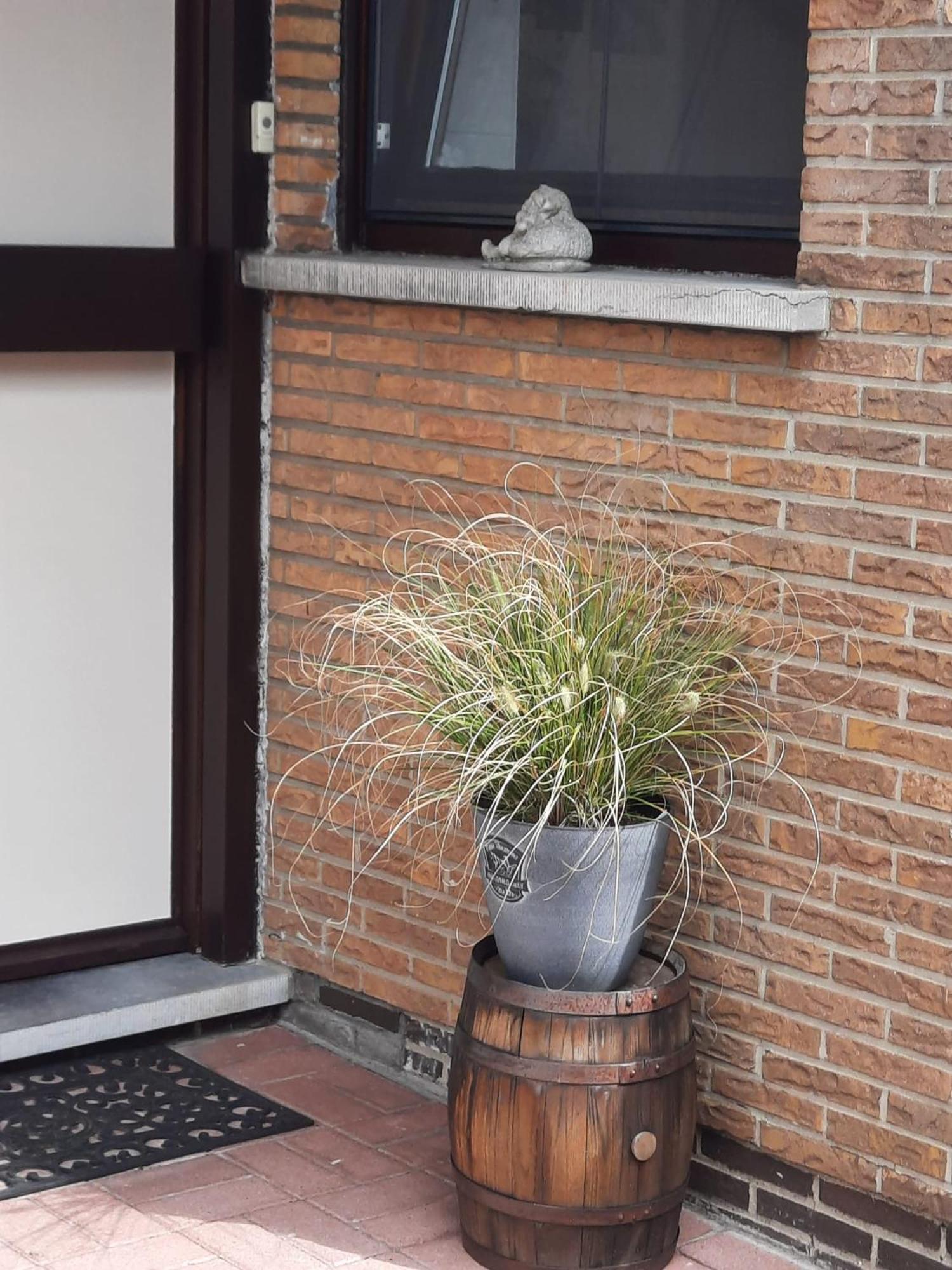 Logies Lily Oudenburg Exterior foto
